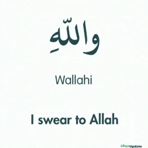 Wallahi Meaning