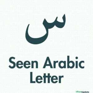 Arabic Letter Seen س