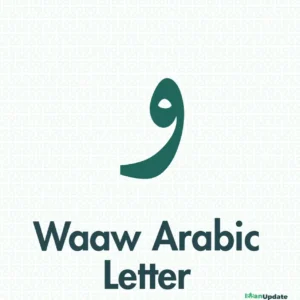 Arabic Letter Waaw و