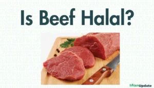 Is Beef Halal