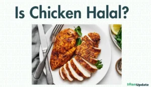 Is Chicken Halal