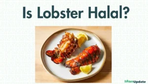 Is Lobster Halal