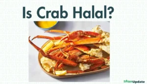 Is Crab Halal