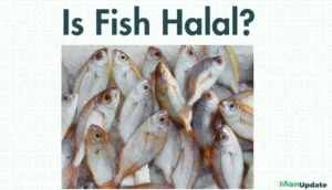 Is Fish Halal