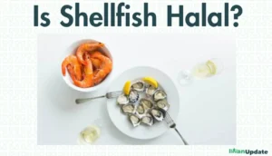 Is Shellfish Halal