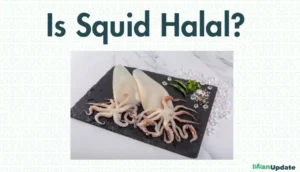 Is Squid Halal