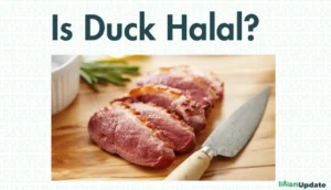 Is Duck Halal