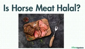 Is Horse Meat Halal