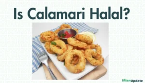 Is Calamari Halal