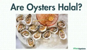 Are Oysters Halal