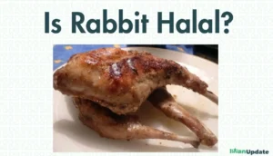 Is Rabbit Halal