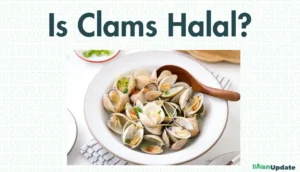 Are Clams Halal