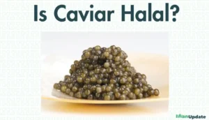 Is Caviar Halal