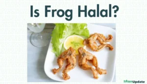 Is Frog Halal