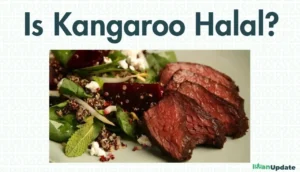 Is Kangaroo Halal