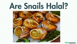 Are Snails Halal