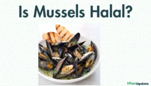 Is Mussels Halal