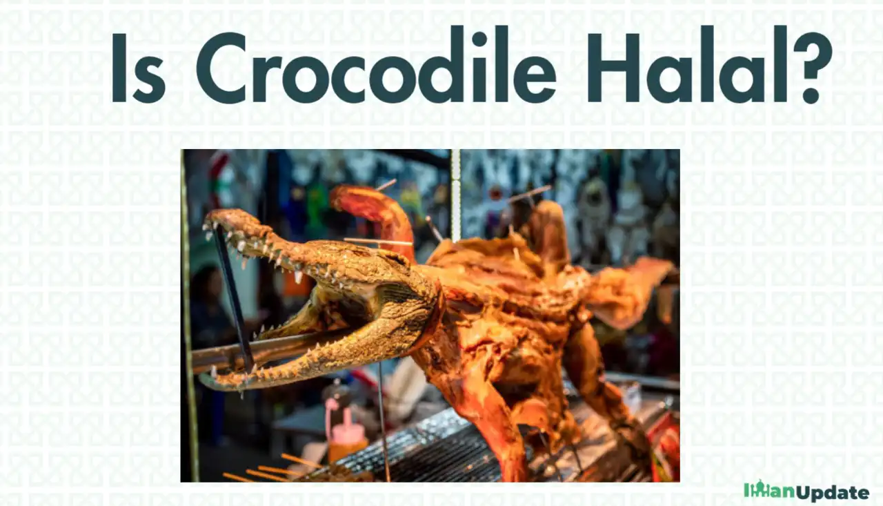 Is Crocodile Halal