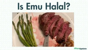 Is Emu Halal