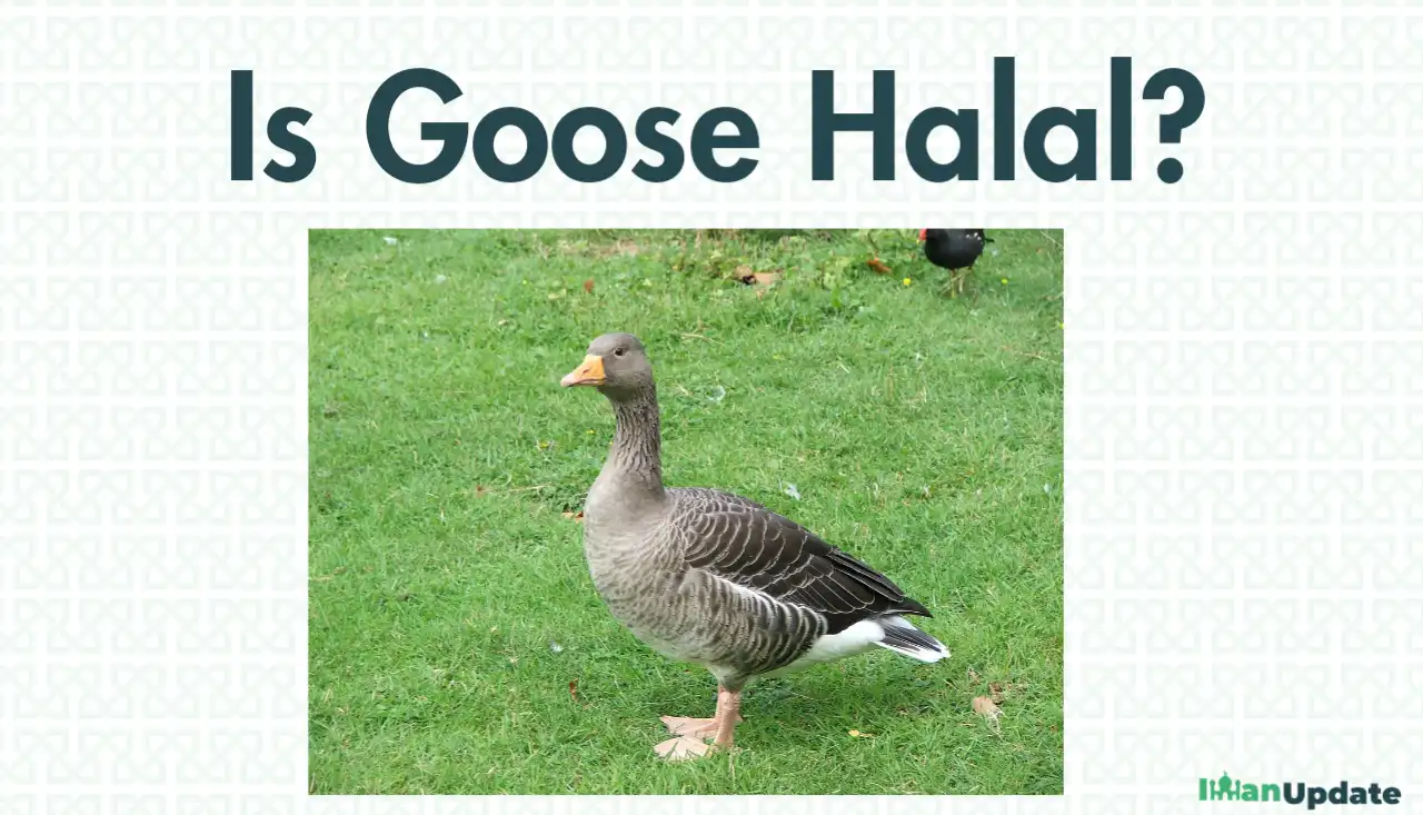 Is Goose Halal