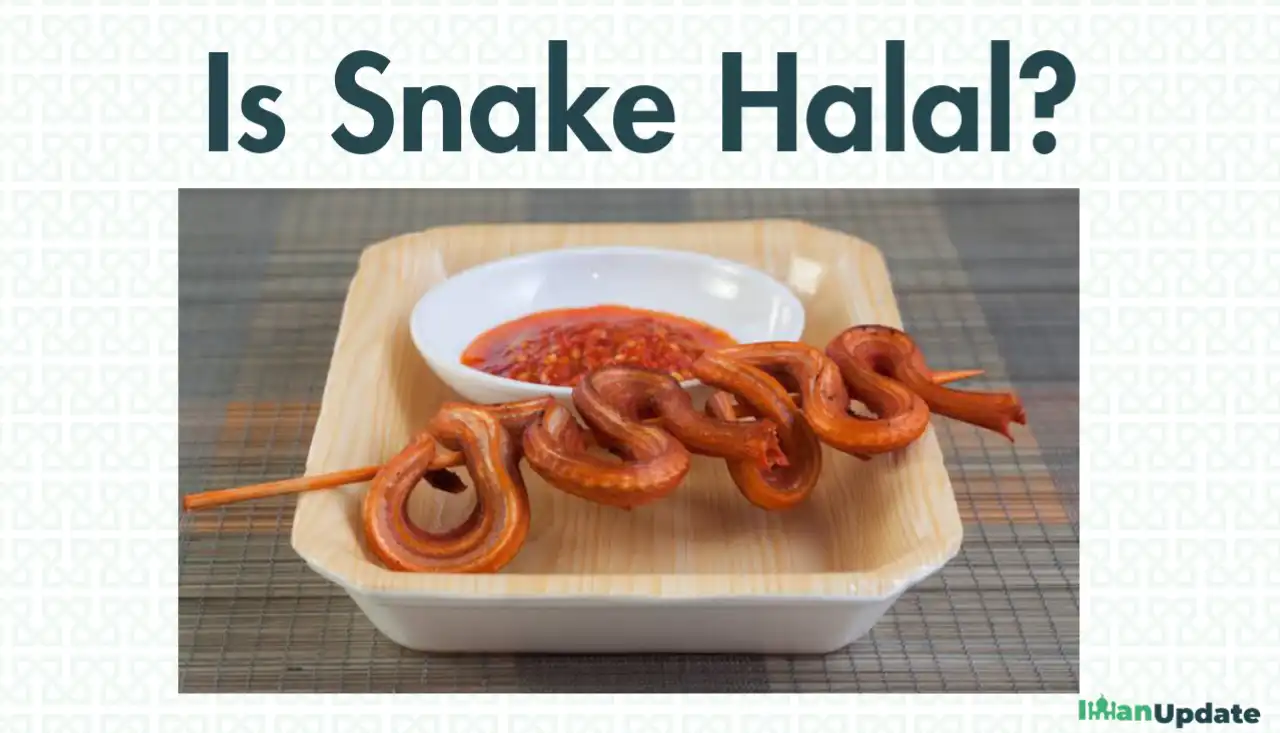 Is Snake Halal