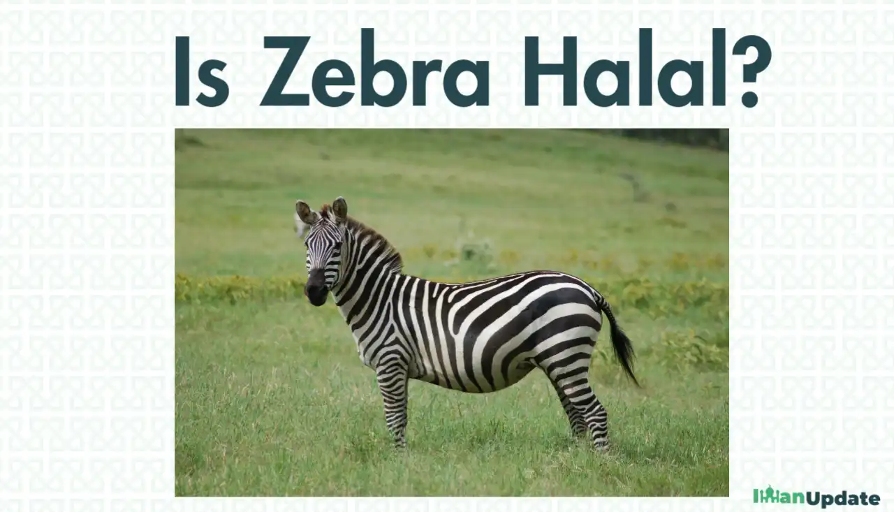 Is Zebra Halal