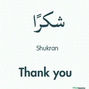 Shukran Meaning