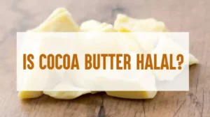 Is Cocoa Butter Halal