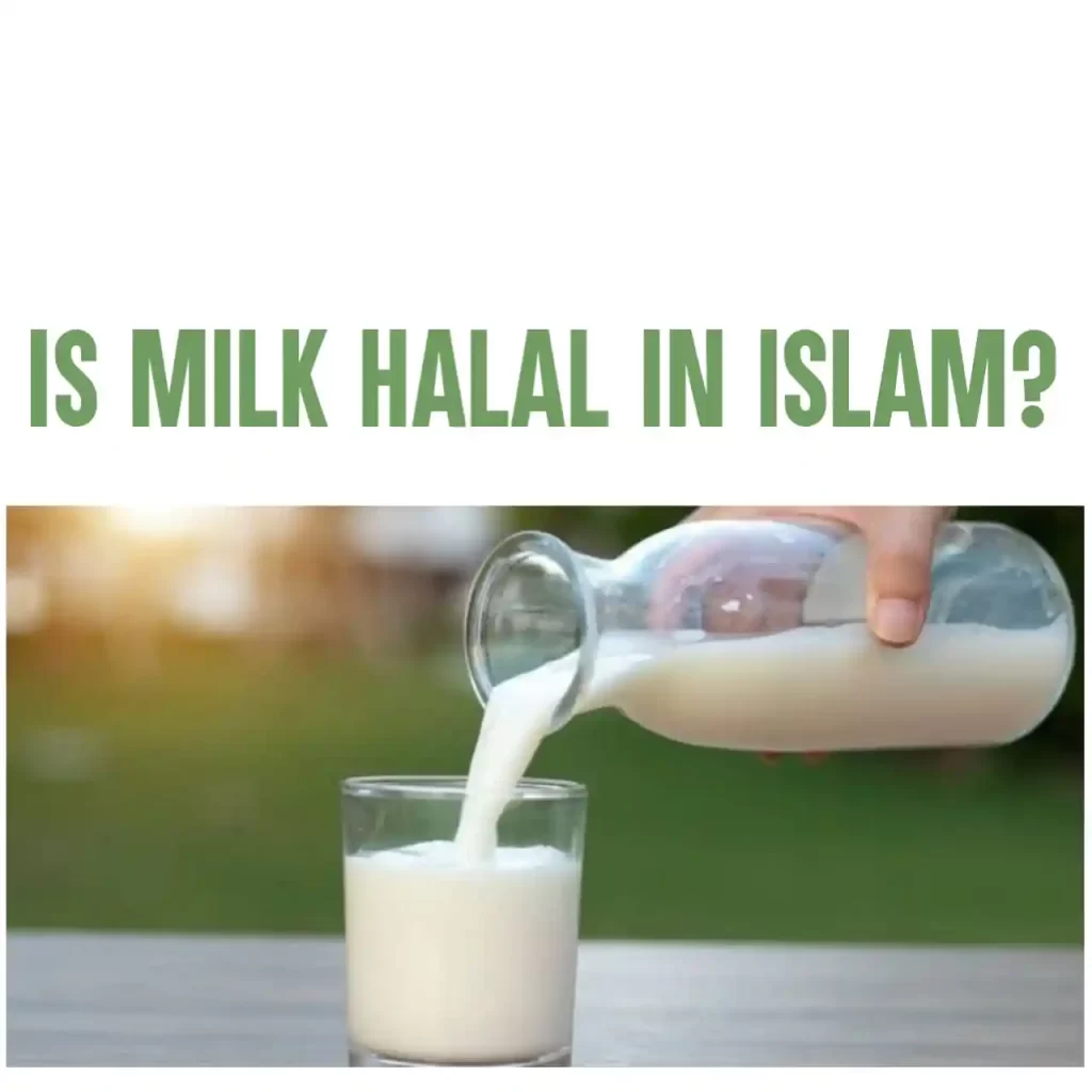 Is Milk Halal